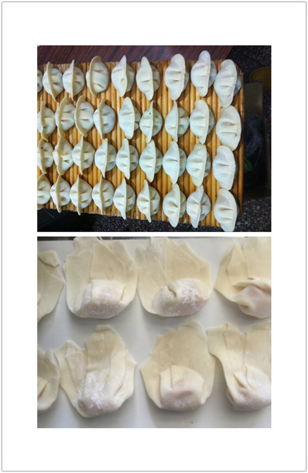 Dumpling making machine,ravioli machine,wonton making machine