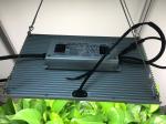 High PPFD CE IP65 Dimmable LED Grow Lights