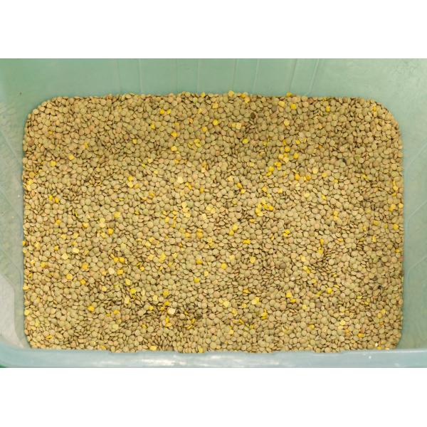 Stainless Steel Low Consumption Black Kidney Beans Color Sorter Machine Farmland Plant
