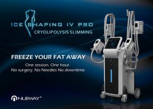 4 cryo handle fat freezing cold body slimming machine