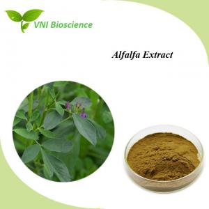 Quality Green Alfalfa Extract Antitumor Herb Extract Powder Halal Certified wholesale