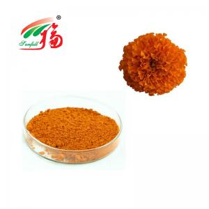 Quality Natural Marigold Flower Extract 10% Lutein Herb Extract Powder wholesale