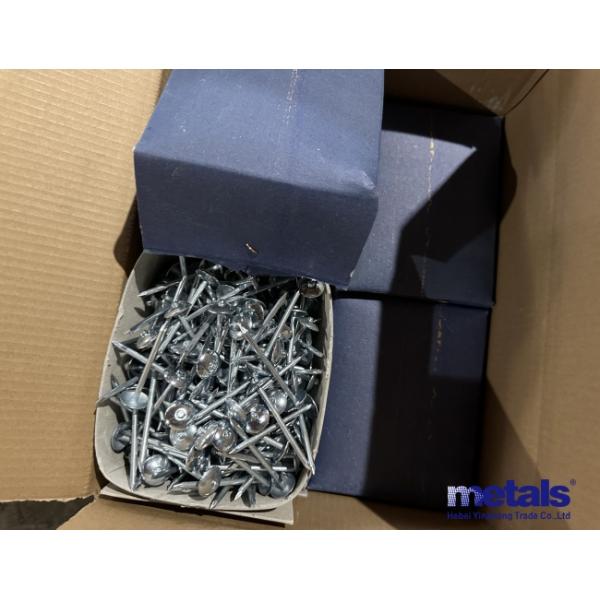 Collated Galvanized Hot Dipped Roofing Nails With Smooth Shank