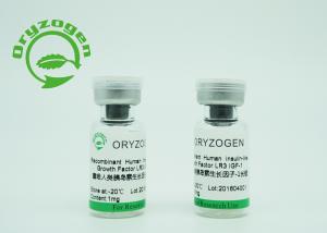 Quality Yeast Origin Recombinant IGF 1 Long R3 Lyophilized Greater Than 90% Purity For Serum - Free Medium wholesale