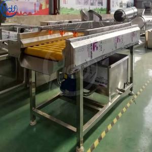 China Fruit and vegetable processing equipment/wool roller high pressure spray cleaning/brush cleaning machine parallel type on sale
