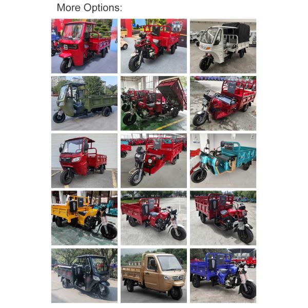 Rear Axle Assembly Gasoline Powered 250cc Cargo Tricycle Motorized Motorcycle with Roof