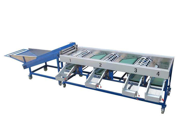 garlic grading machine,garlic sorting machine,onion garding machine,onion sorting machine