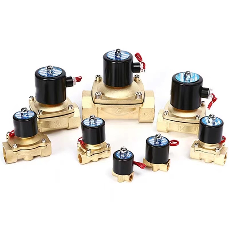 2W Brass 24V 220V Volt 12V Normal Closed Solenoid Valve