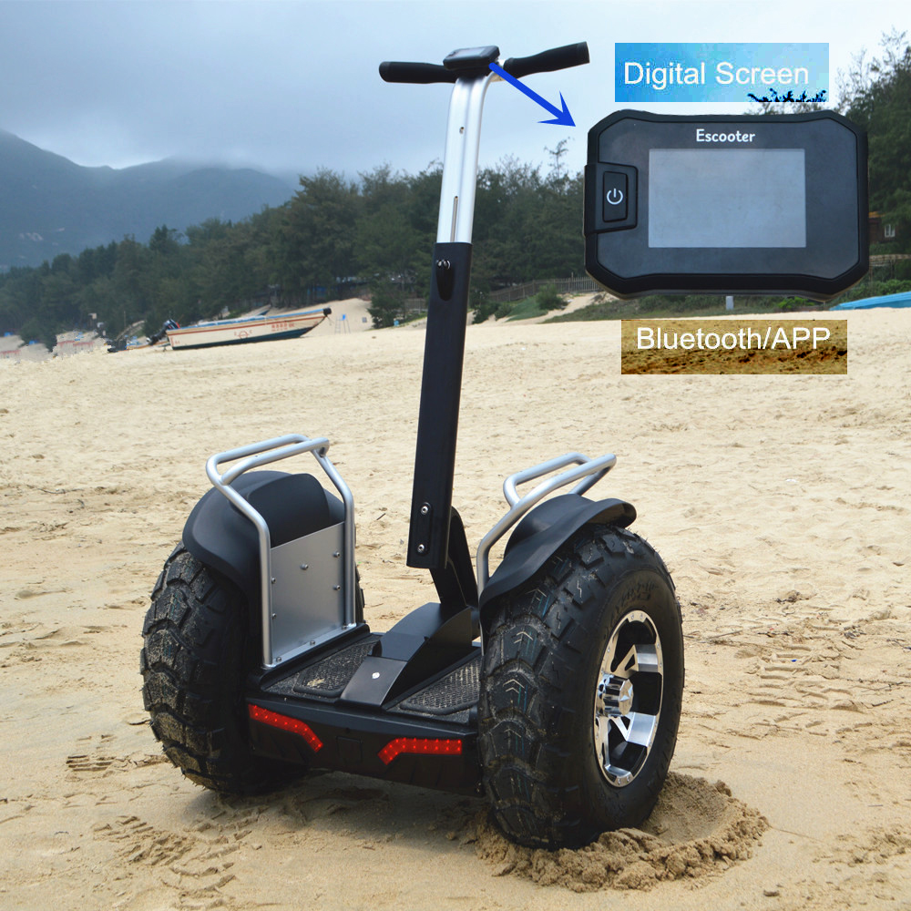 Audlt Off Road Two Wheels Self Balancing Electric Scooter Segway Type Multi Color