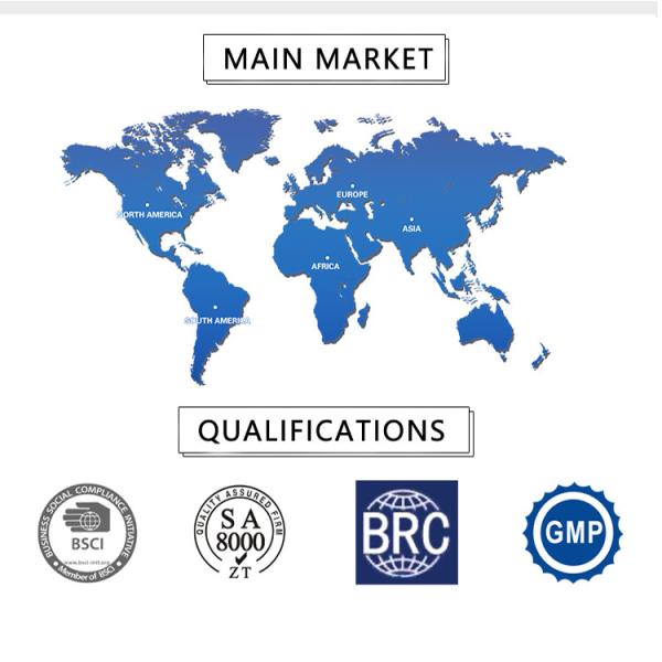 8×2cm 3C Color Herbal Matte Lip Stick Shell Long Lasting