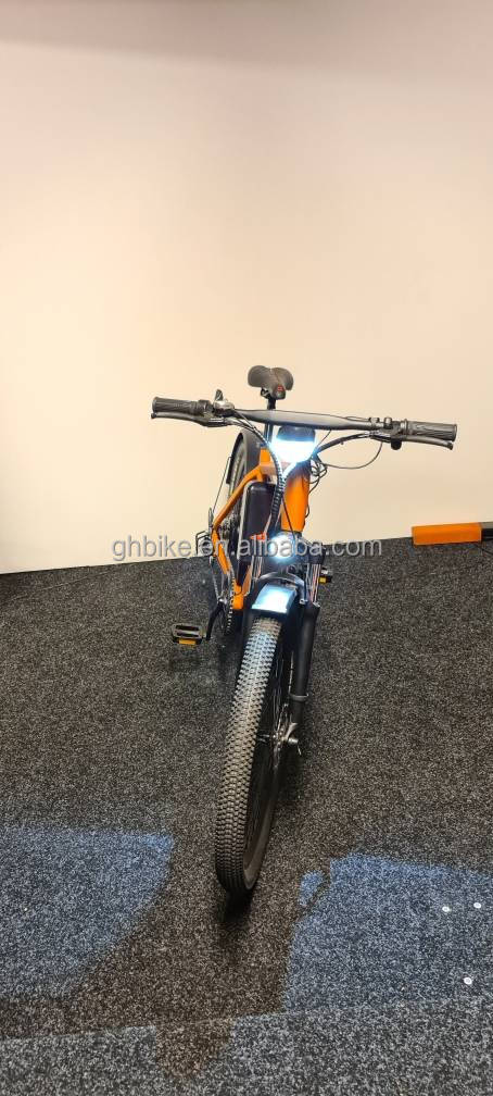 1000W 48V 14AH hidden battery hidden E-MTB lcd display electric mountain bike for your 's