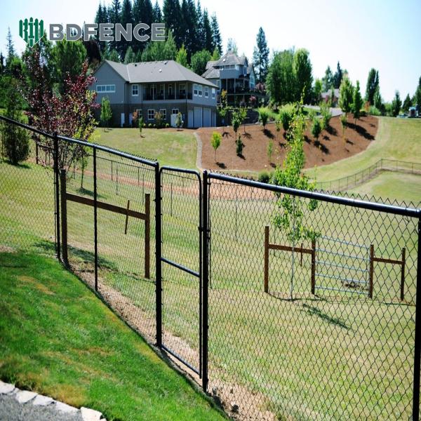 Rooftop Chain Link Fence Urban Farm