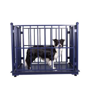 Quality Electronic KELI 5000KG Cattle Weighing Systems Carbon Steel wholesale