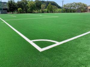 Quality FIFA Approved Football Soccer Artificial Grass Soccer Turf Carpet wholesale
