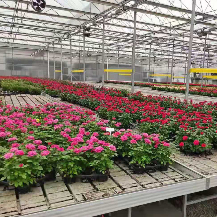 Agricultural Plastic Greenhouse Benches Economical Practical Ebb And Flow