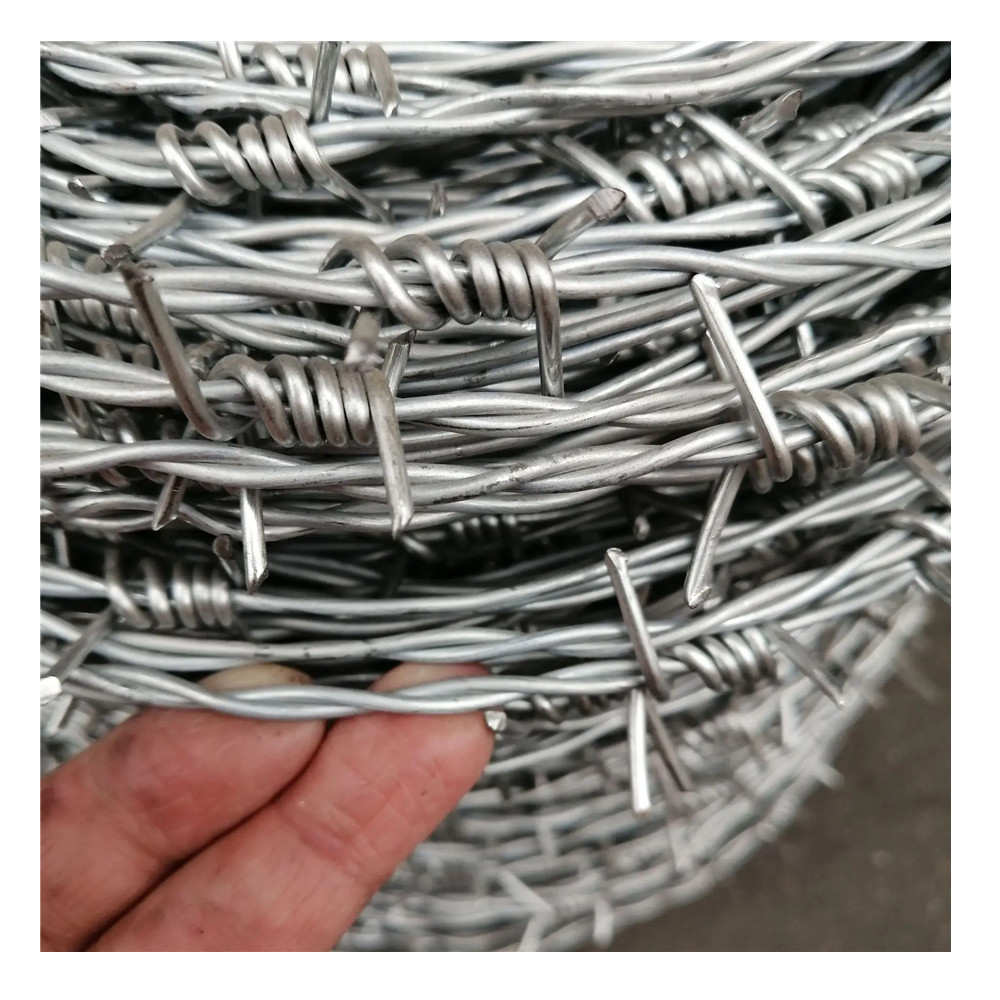 Easily Assembled High Security Anti Climb Airport Fence/358 Fence with and PVC Coating