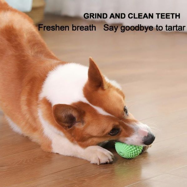 Lightweight Pet Toys Ideal for Travel and Outdoor Adventures Providing Convenient Entertainment