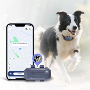 Buy cheap Lightweight Pet GPS Tracking Device Compact Easy Attach Providing Continuous from wholesalers