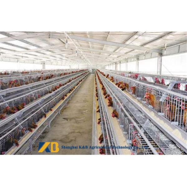 Additive Material Chicken Feed Protein Can Prevent Cartilage And Other Diseases