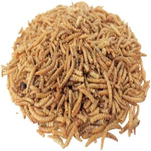 Quality Calcium-Rich Freeze Dried Worms for Pet Feeding wholesale