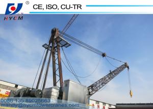 China Best Price of Derricking Jib Roof Top Crane Without Mast Sections on sale