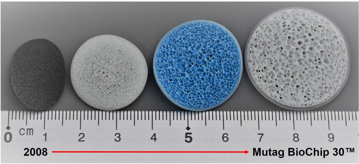 Mutag Biochip MBBR Biochip Media The Ideal Solution For Nitrogen Elimination At Home