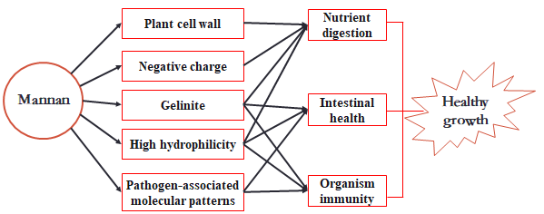 High-Performance Beta Mannanase Enzyme Unconventional Feed Rraw Materials Improvement