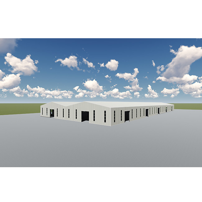 Prefabricated Steel Structure Warehouse Hall Workshop Pre-Engineered Hangar Buildings Steel Shed Construction