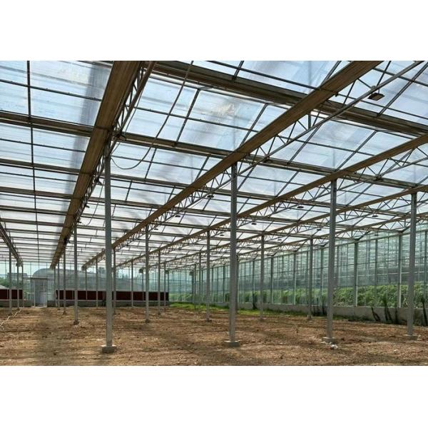 3mm 4mm Tomato Venlo Portable Glass Greenhouse Roof And Side Ventilation Control By Motor