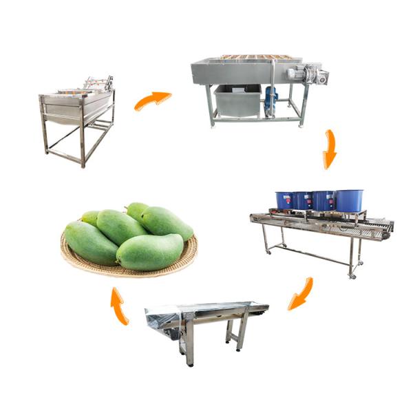 Industrial Fish Washer Sugarcane Banana Avocado Ginger Onion Sweet Potato