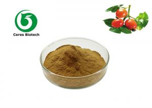 Quality Pure Natural Herbal 5%VC Rosehip Extract Powder with Antioxidation Function wholesale