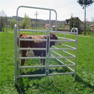 Quality Hot Dipped Galvanized Cattle Panels Yard Fence Panels Fit Australia And New Zealand wholesale