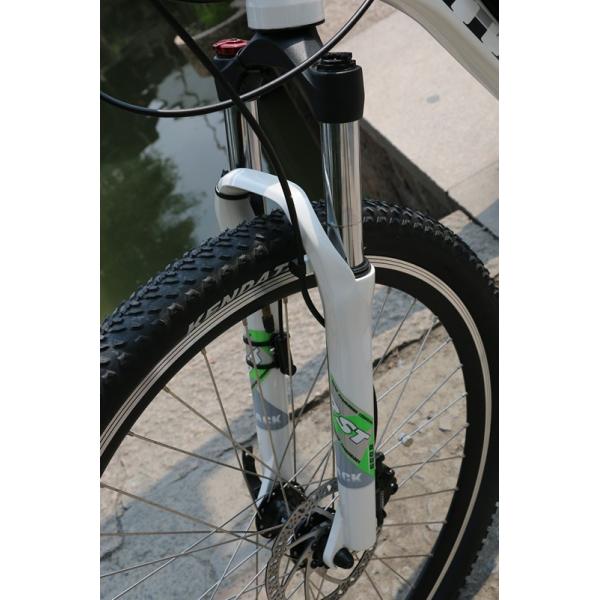 Aluminum Alloy Frame 36V Electric Mountain Bike With 8Fun Motor Kettle Battery