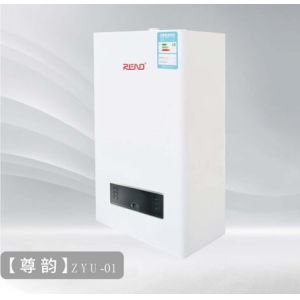 Large Heat Exchange Gas Wall Hung Boiler Fast Heat Transfer Ng Lpg Water Boiler