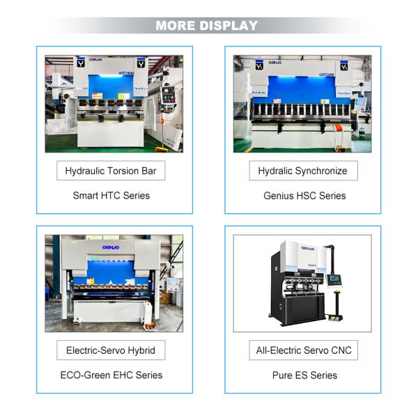 Stainless Steel Synchronized CNC Press Brake Iron Bending Machine with and Competitive