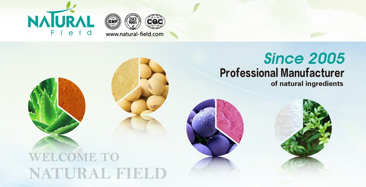 Baikal skullcap extract 85% baicalin powder