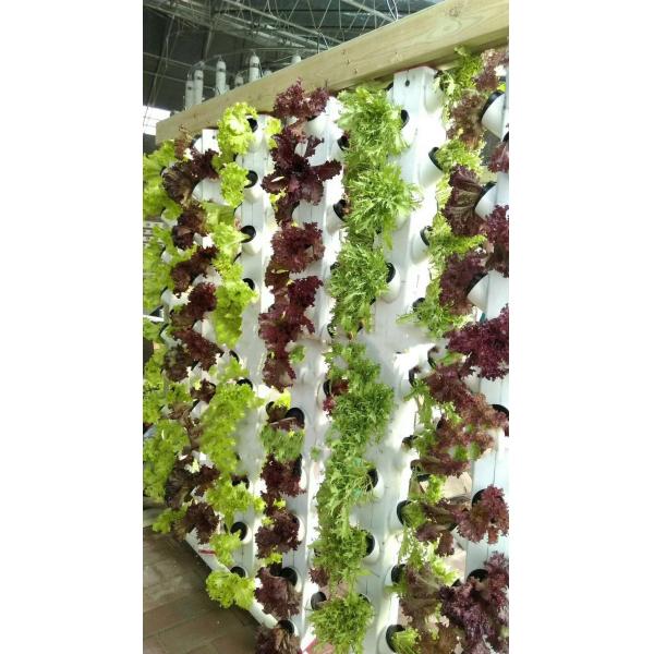 Agricultural Greenhouse Super Growtower Hydroponic Grow Systems Planting System