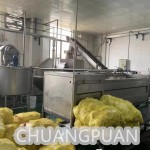China Speed 2-9T/H Filling Speed Coconut Milk Processing Machine with Customization on sale