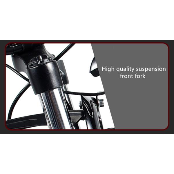 21 Speed Foldable E Bicycle 48V 15AH Lithium Battery With Carbon Steel Frame