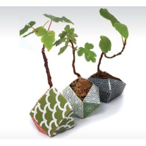 Tear Resistant Folding Paper Packaging Calcium Carbonate 80% Wood Free