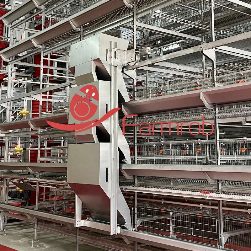 High Resource Utilization Layer Chicken Cage System Efficient Feed and Water Distribution