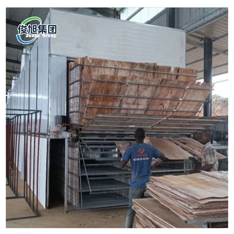 Customizable Drying Process Wood Veneer Production Dryer