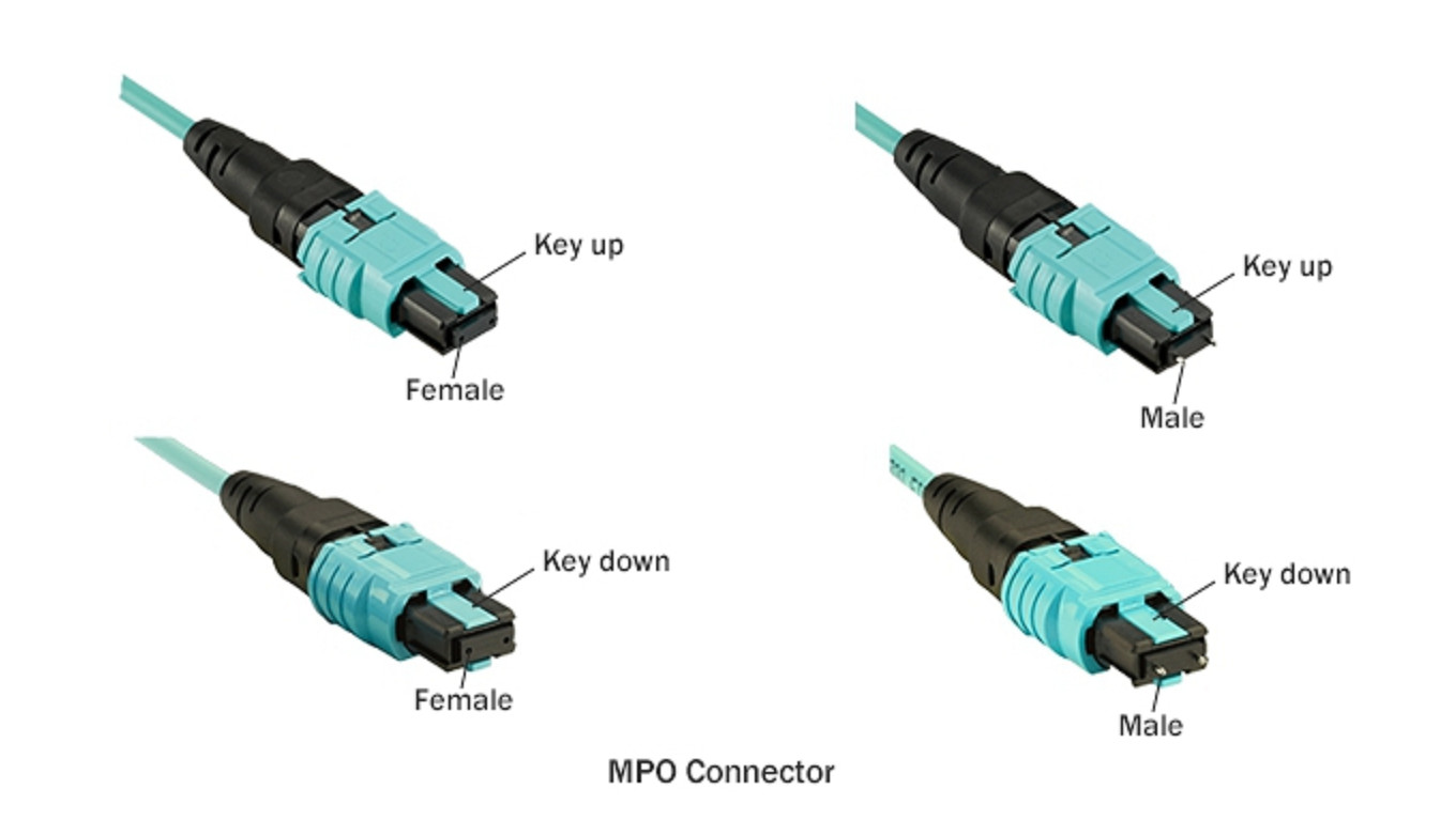 High Density Fiber Optic Patch Cord OM3 OM4 8 12 24F G657A1 MPO MTP