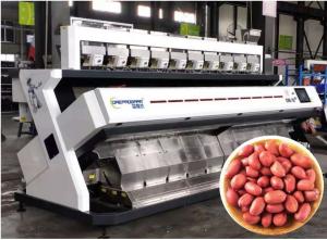 China Precise Rejection Peanut Sorting Equipment , 640 Channels 5t/h Kernel Sorting Machine on sale