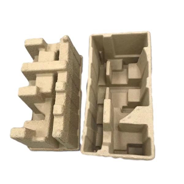 SGS Bagasse Paper Tray Packaging Eco Friendly OEM Acceptable