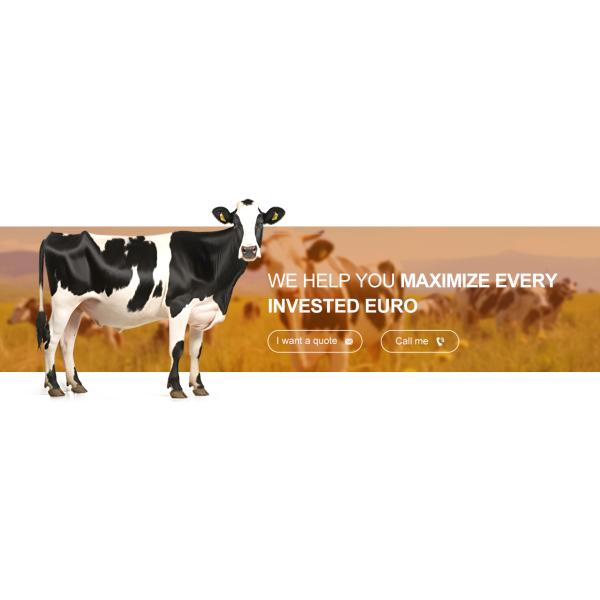 Light Steel Structure Cow Farm Building Prefabricated Cowshed with ISO9001 2008/CE/BV