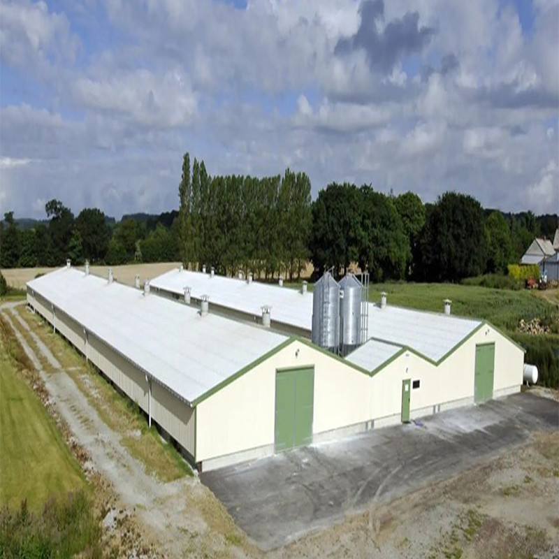 SGS Livestock Farm House Prefabricated Automated Steel Frame Chicken Coop