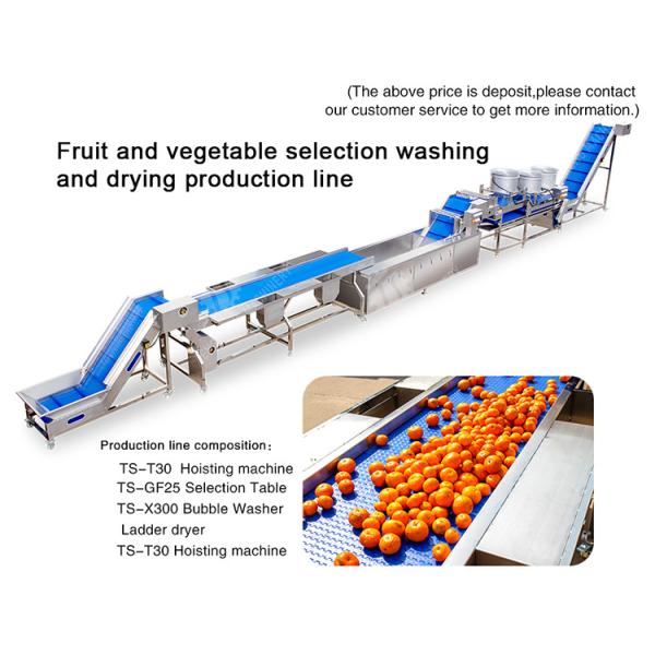 vegetable drying equipment Fruit and vegetable selection washing and drying production line Fruit Vegetable FOOD processing production Machine fruit