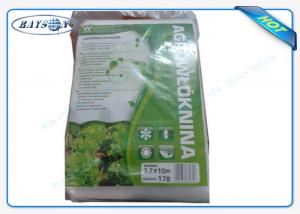 Quality White Color PP Nonwoven Fabric for Reducing Pest And Diseases Of The Tree wholesale