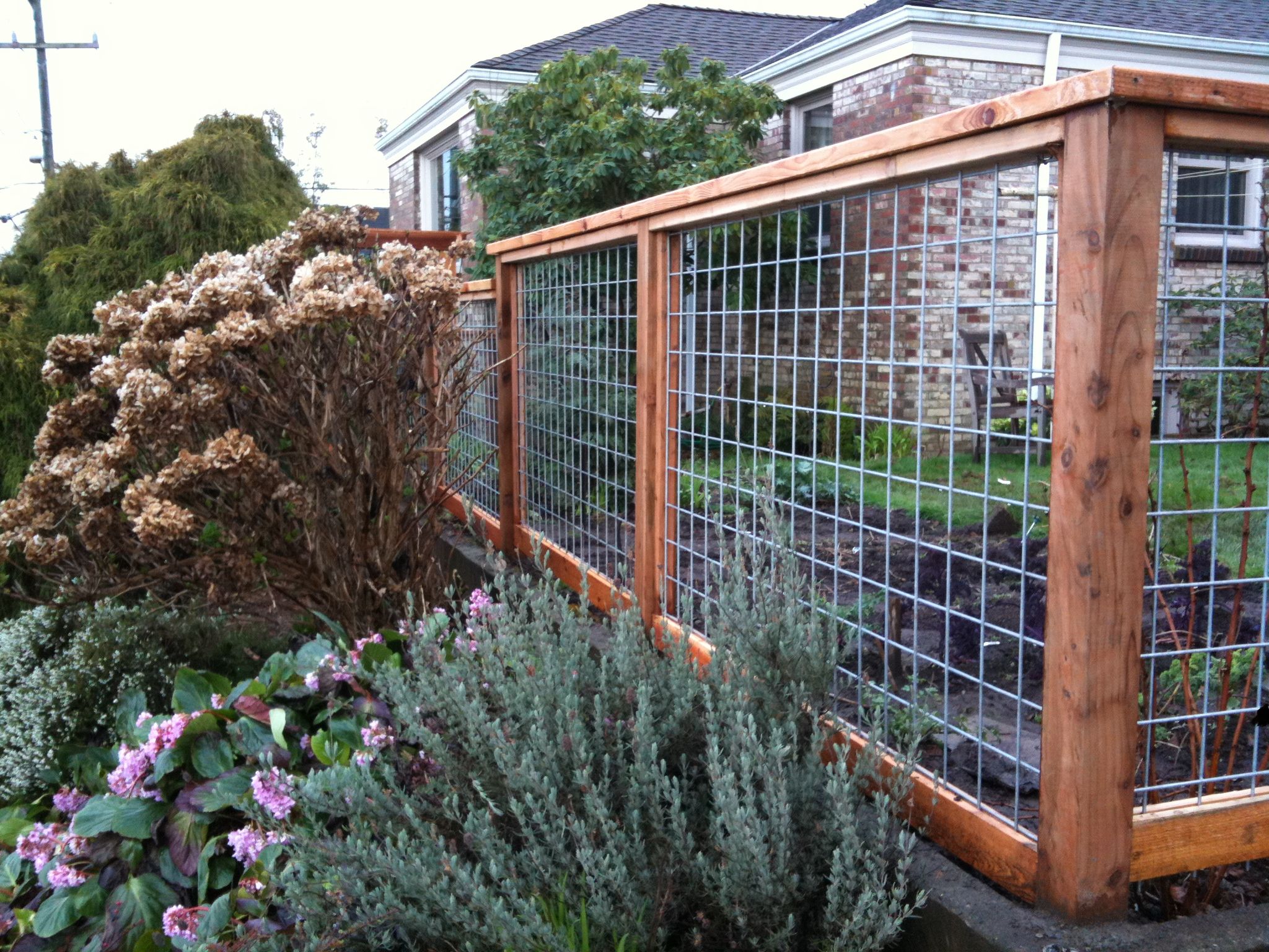 Electro Galvanized Welded Wire Mesh for Construction 1x1 2x2 4x4 6x6 Steel Metal Mesh